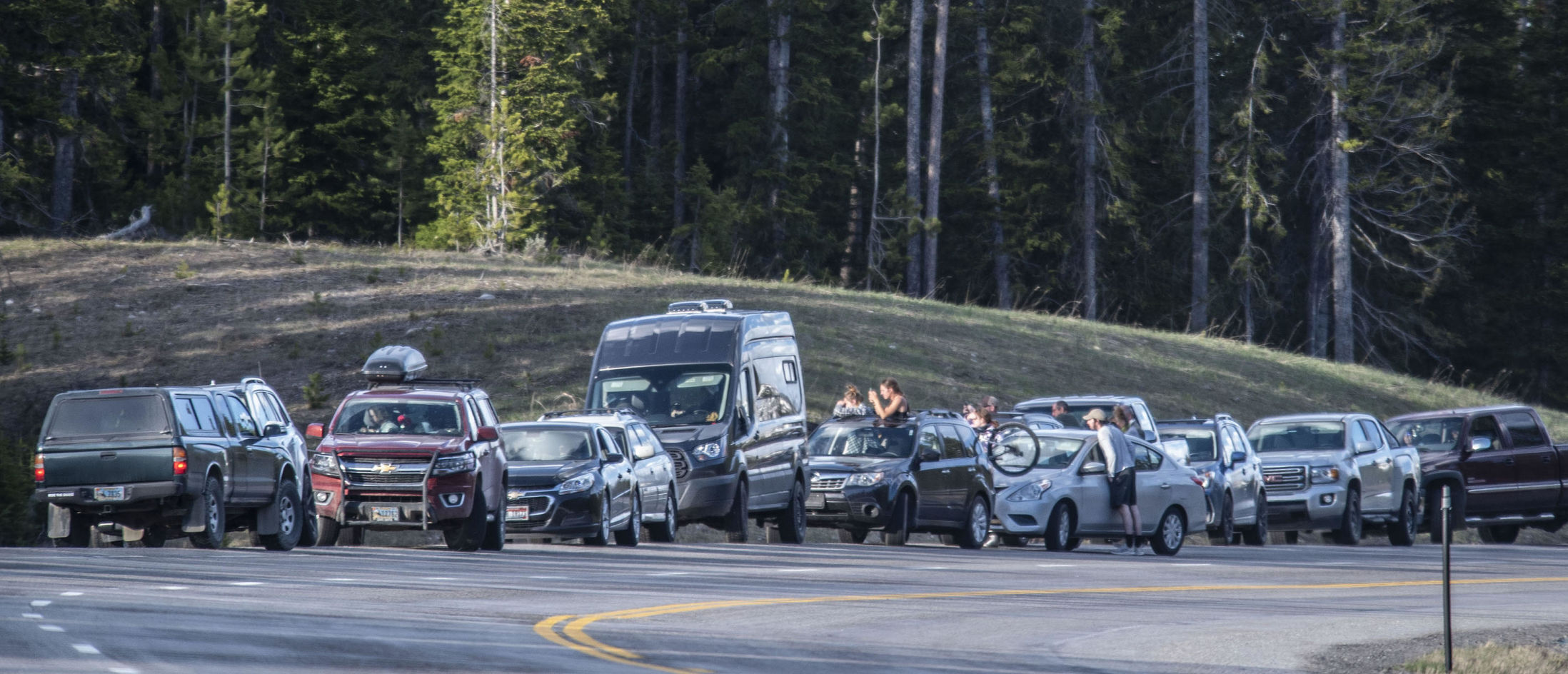 Grizzly 863 traffic